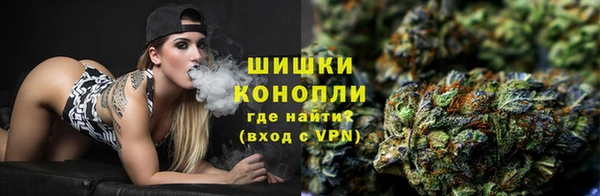 дурь Бронницы